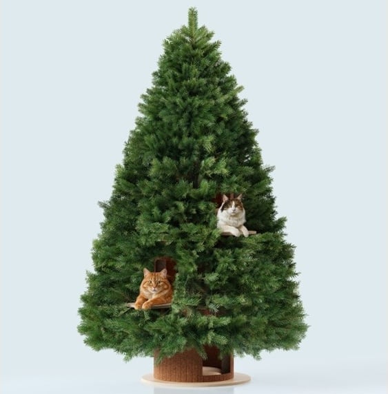 CatChristmasTree