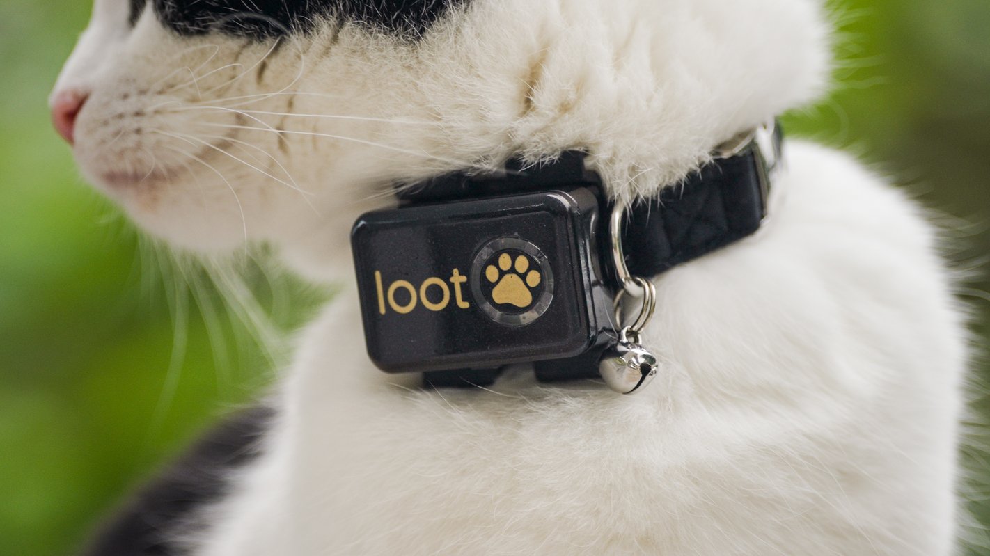 LootPaw GPS Tracker