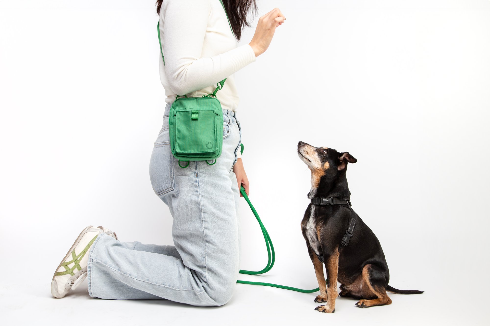 Ubbi Pet Treat Pouch