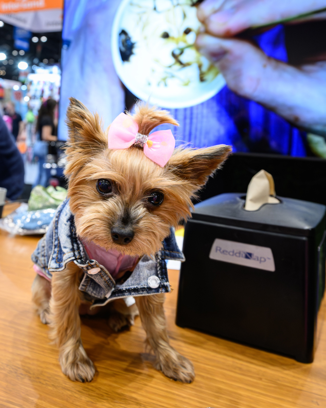 Social Media Tool Kit for Media & Influencers